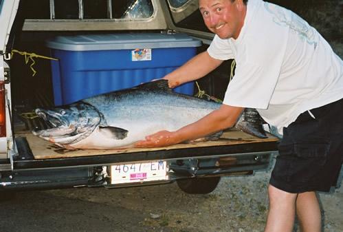 Southern Vancouver Island's Largest Chinook